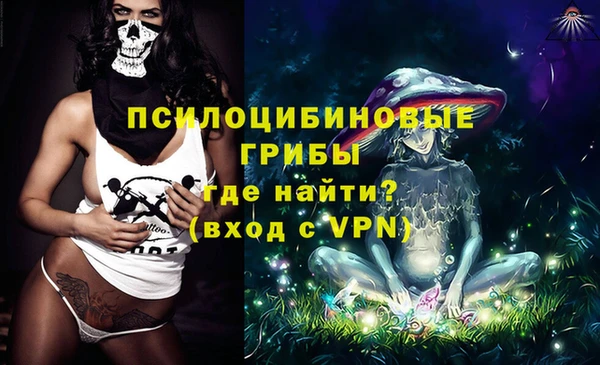 гидропоника Бородино