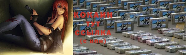 гидропоника Бородино